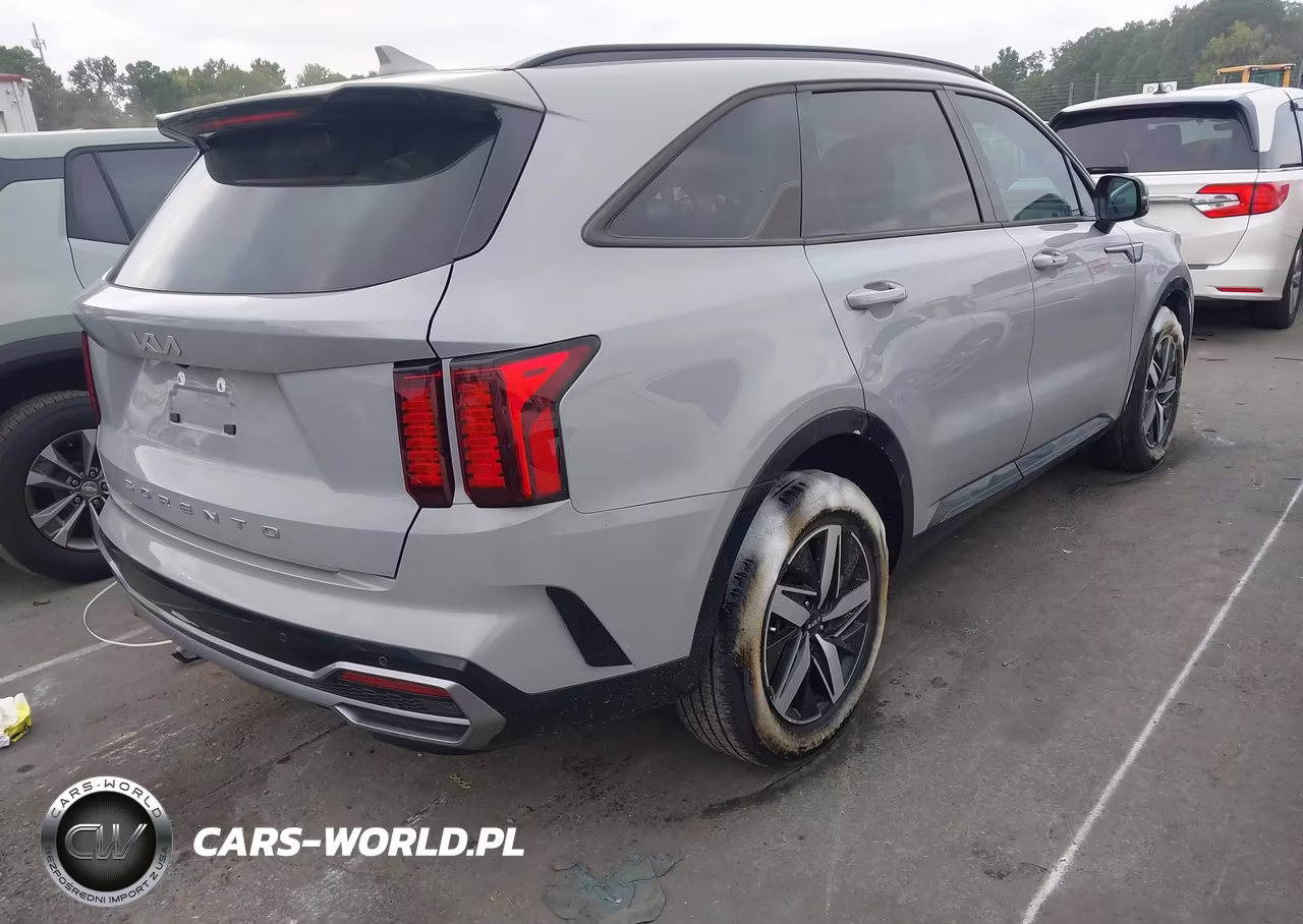 2022 Kia Sorento Ex VIN:5XYRH4LF4NG146376 - 4