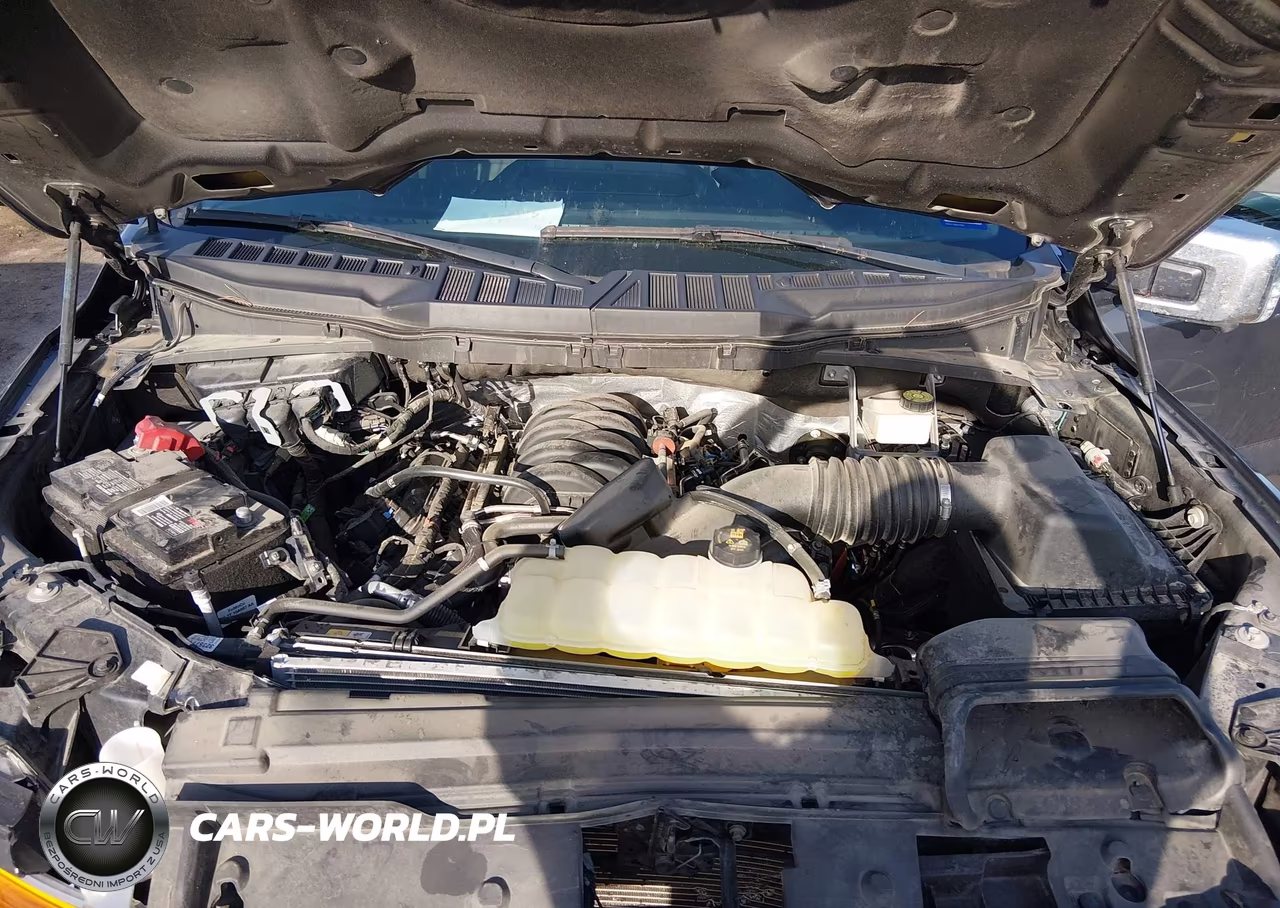 2024 Ford F-150 Xlt VIN:1FTFW3L50RKF53069 - 10
