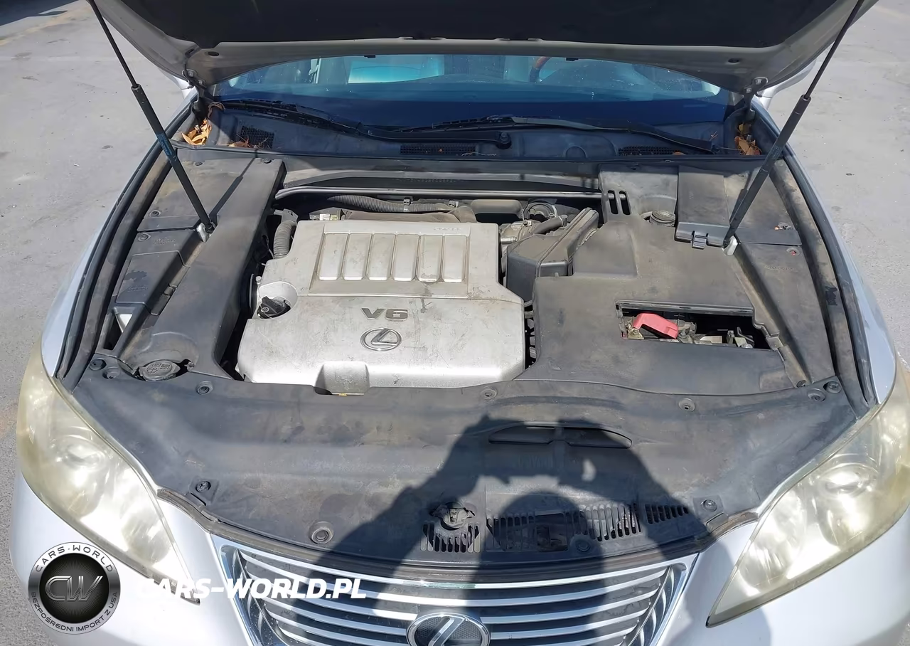 2009 Lexus Es 350 VIN:JTHBJ46G592289247 - 10
