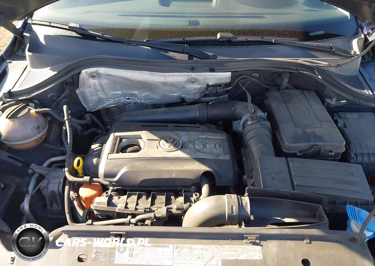 2016 Volkswagen Tiguan S VIN:WVGAV7AX8GW544386 - 10