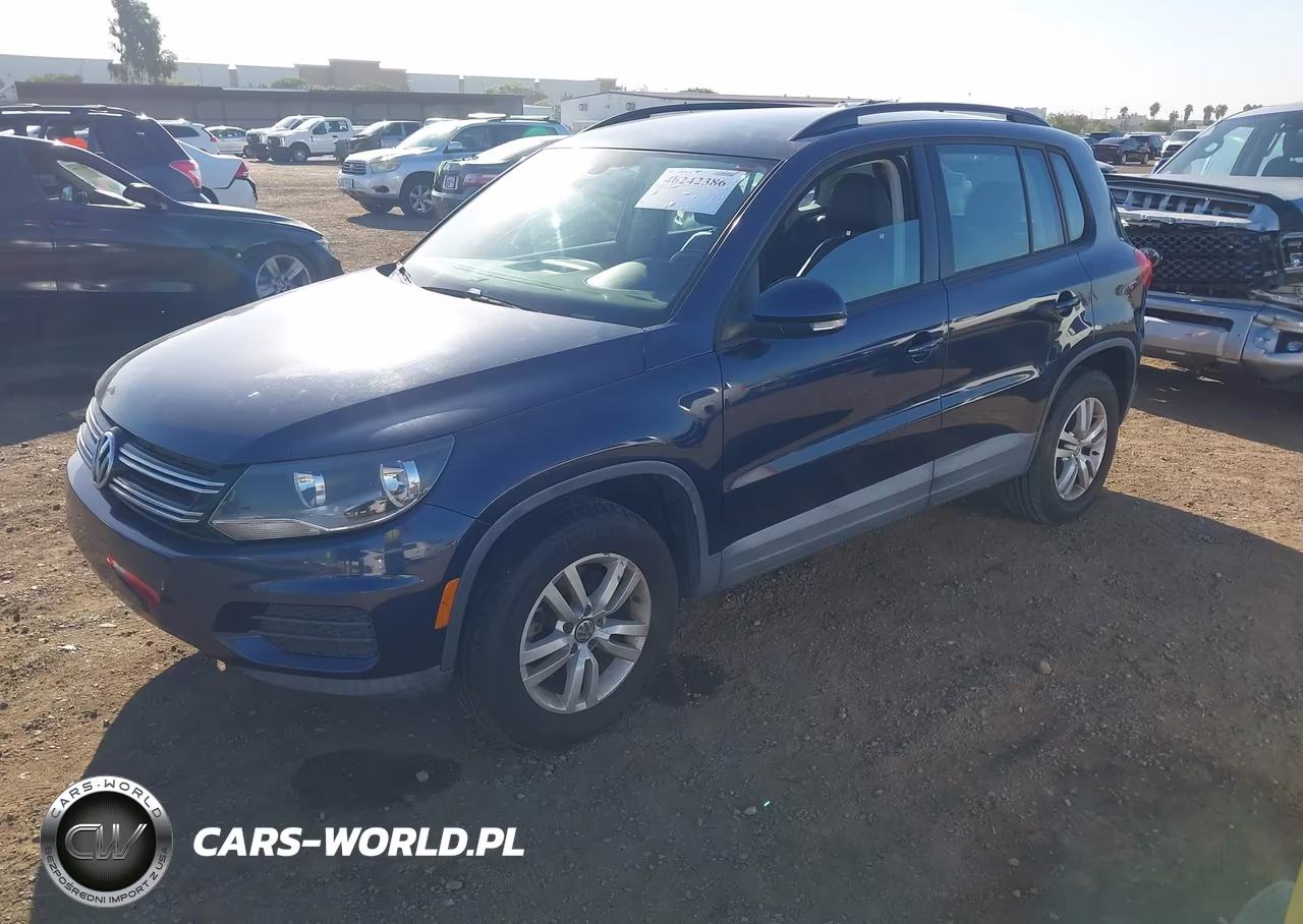 2016 Volkswagen Tiguan S VIN:WVGAV7AX8GW544386 - 2