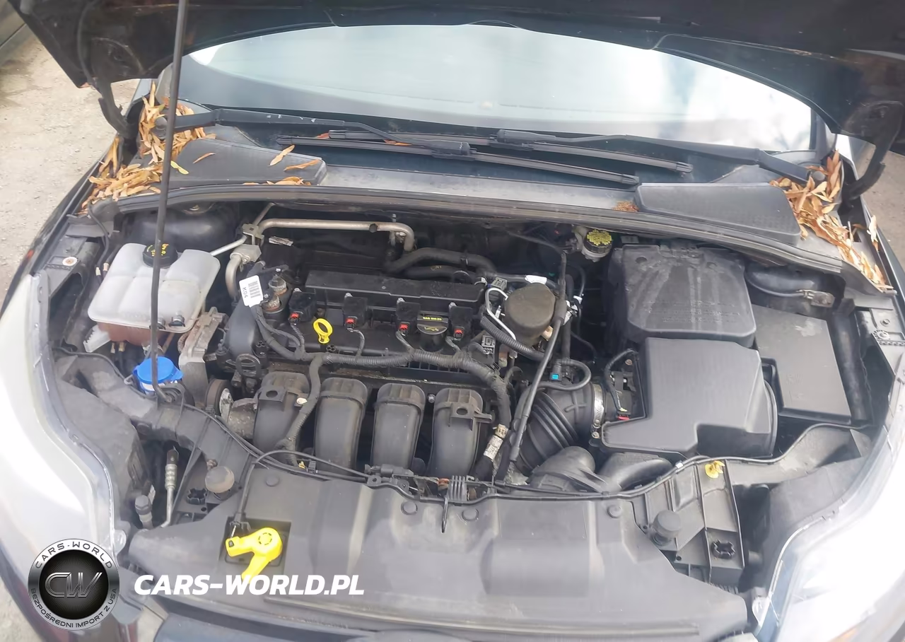 2014 Ford Focus Titanium VIN:1FADP3N22EL346118 - 10