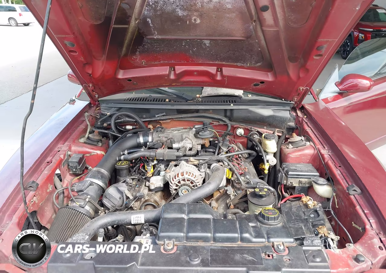 2004 Ford Mustang Gt VIN:1FAFP45X64F128576 - 10