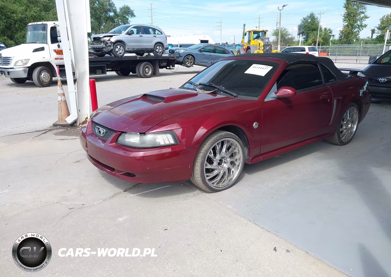 2004 Ford Mustang Gt VIN:1FAFP45X64F128576 - 2