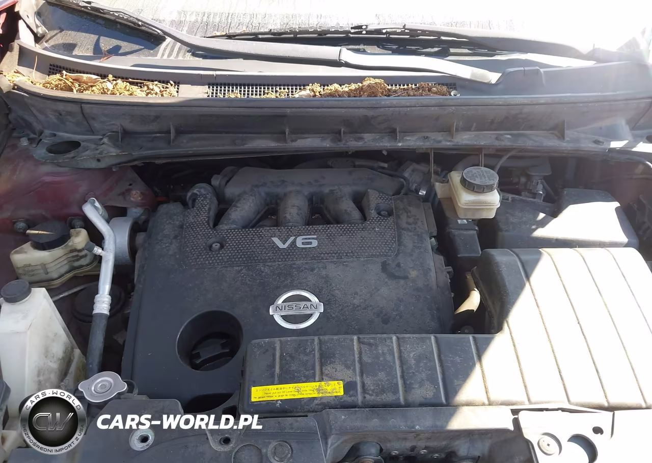2009 Nissan Murano Sl VIN:JN8AZ18W09W139536 - 10