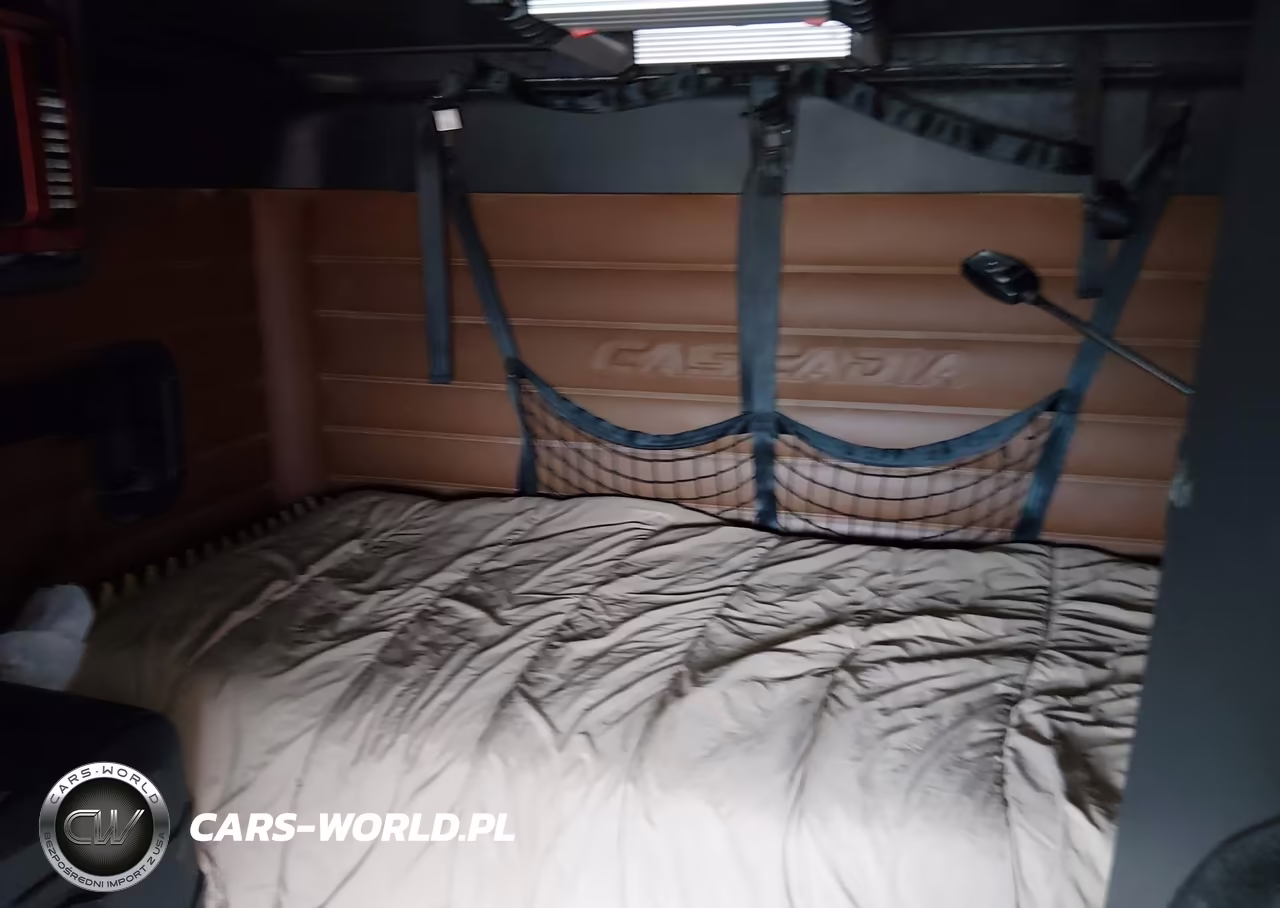 2020 Freightliner New Cascadia 126 VIN:3AKJHHDR1LSLU3503 - 6