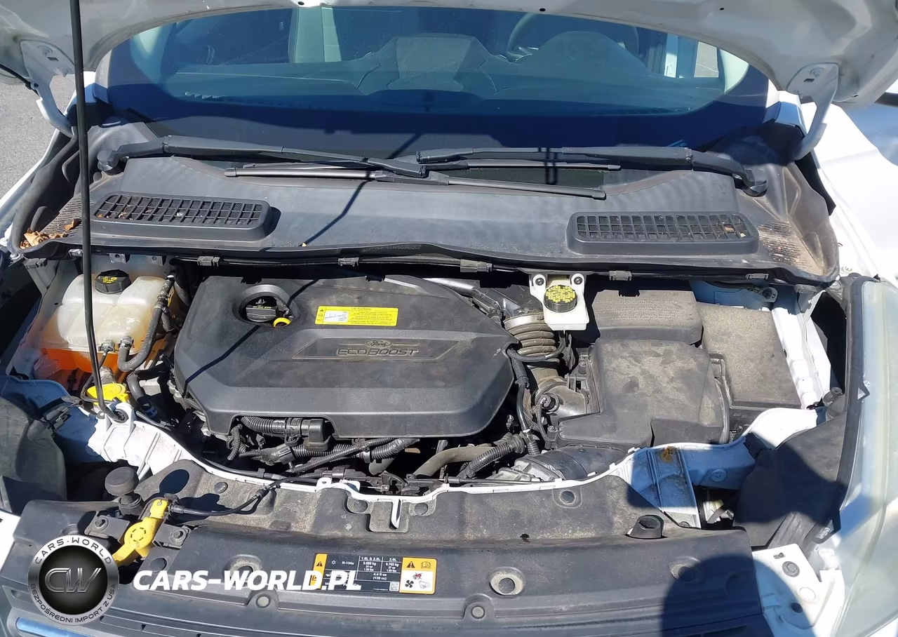2014 Ford Escape Se VIN:1FMCU0GX6EUA76001 - 10