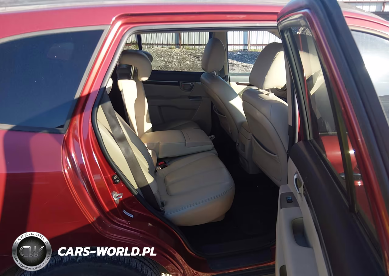 2010 Hyundai Santa Fe Gls VIN:5NMSG3AB8AH365663 - 8