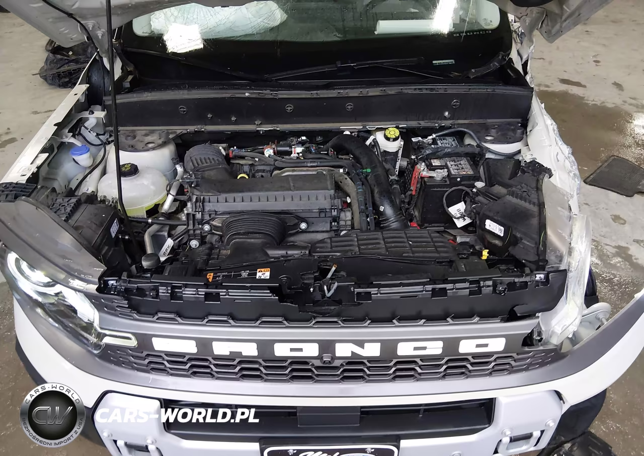 2025 Ford Bronco Sport Badlands VIN:3FMCR9DA4SRE33653 - 10