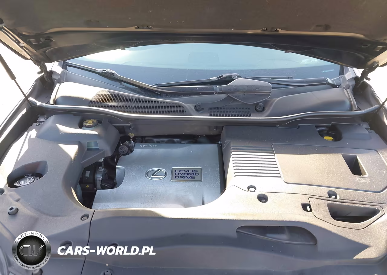 2013 Lexus Rx 450H VIN:JTJBC1BA3D2052662 - 10