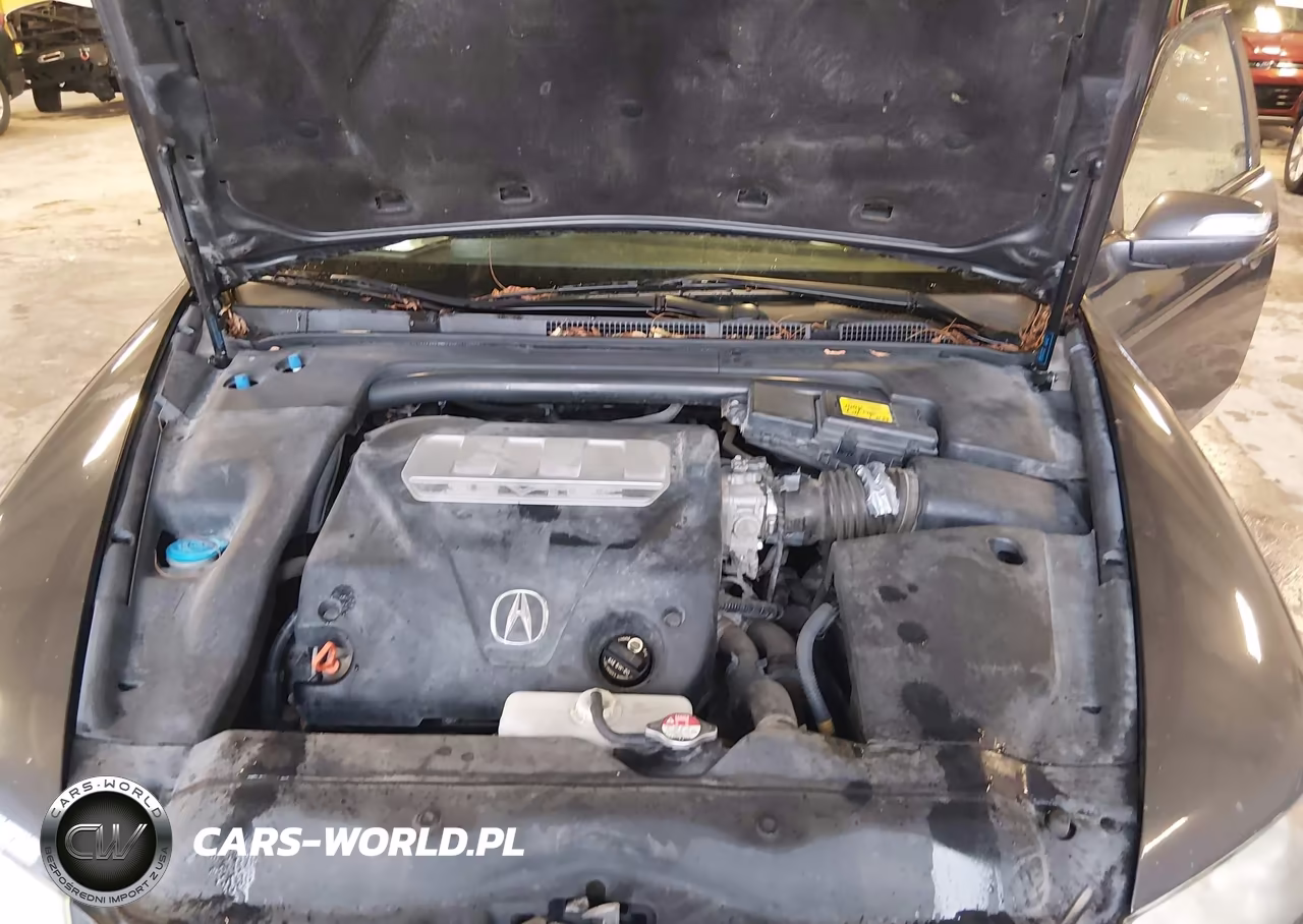 2008 Acura Tl 3.2 VIN:19UUA66298A008129 - 10