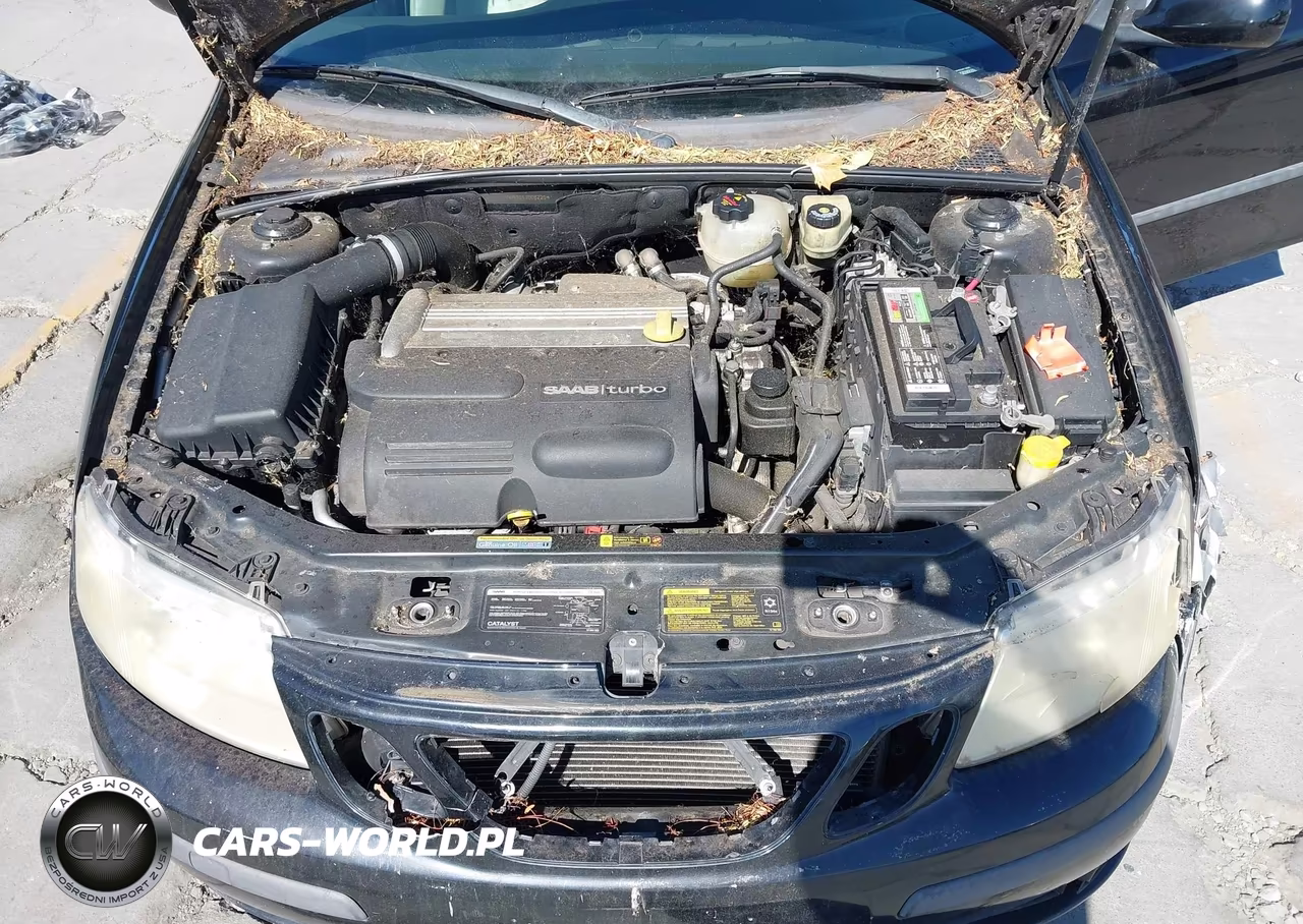 2005 Saab 9-3 Linear VIN:YS3FB49S651008226 - 10