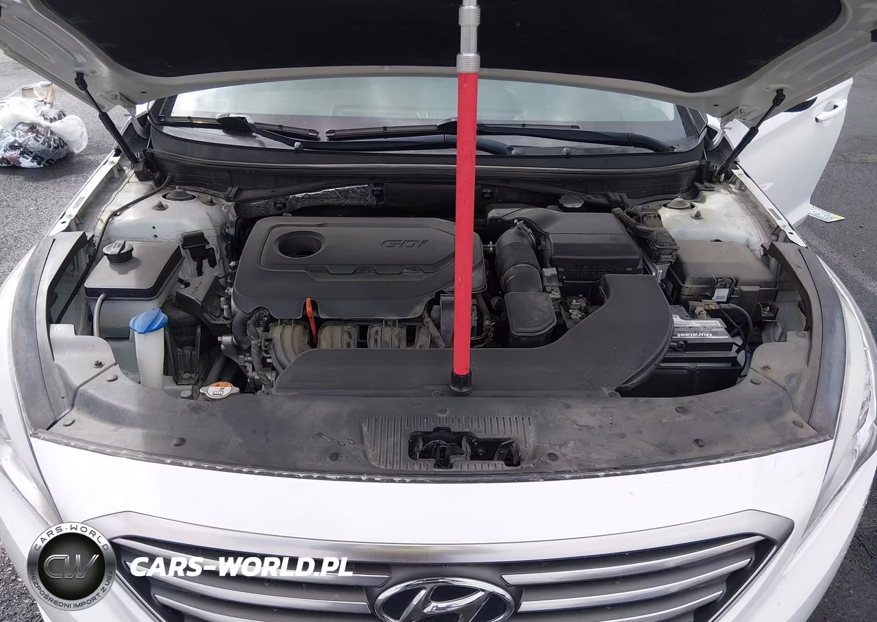 2017 Hyundai Sonata VIN:5NPE24AF7HH490283 - 10