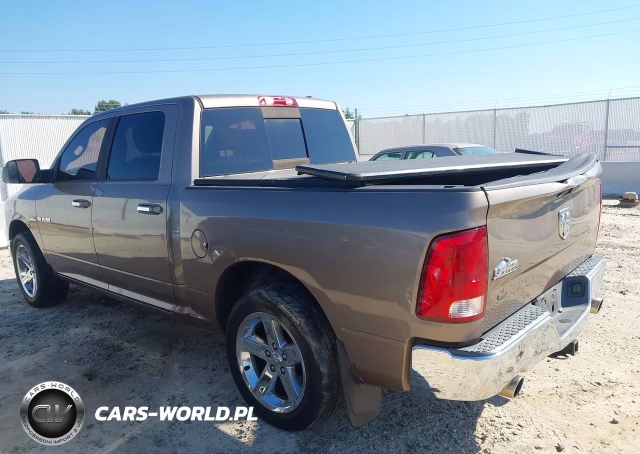 2010 Dodge Ram 1500 Slt-Sport-Trx VIN:1D7RB1CTXAS232453 - 15