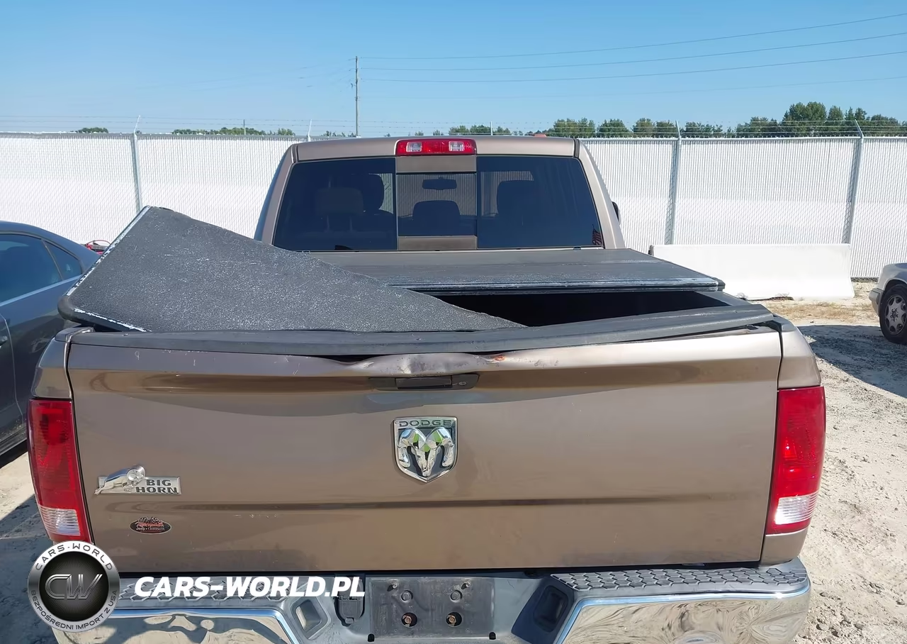 2010 Dodge Ram 1500 Slt-Sport-Trx VIN:1D7RB1CTXAS232453 - 16
