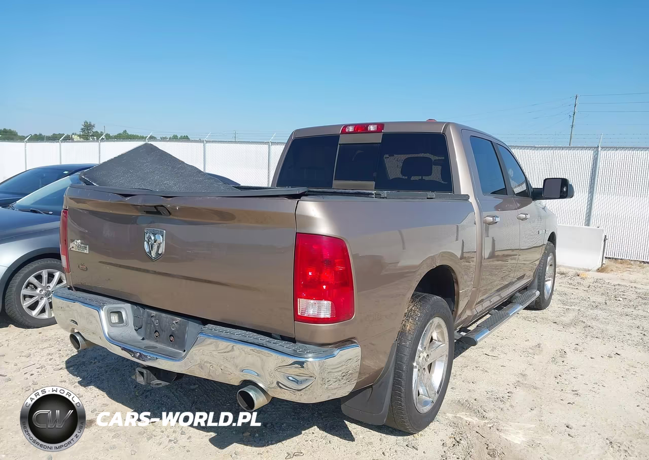 2010 Dodge Ram 1500 Slt-Sport-Trx VIN:1D7RB1CTXAS232453 - 17