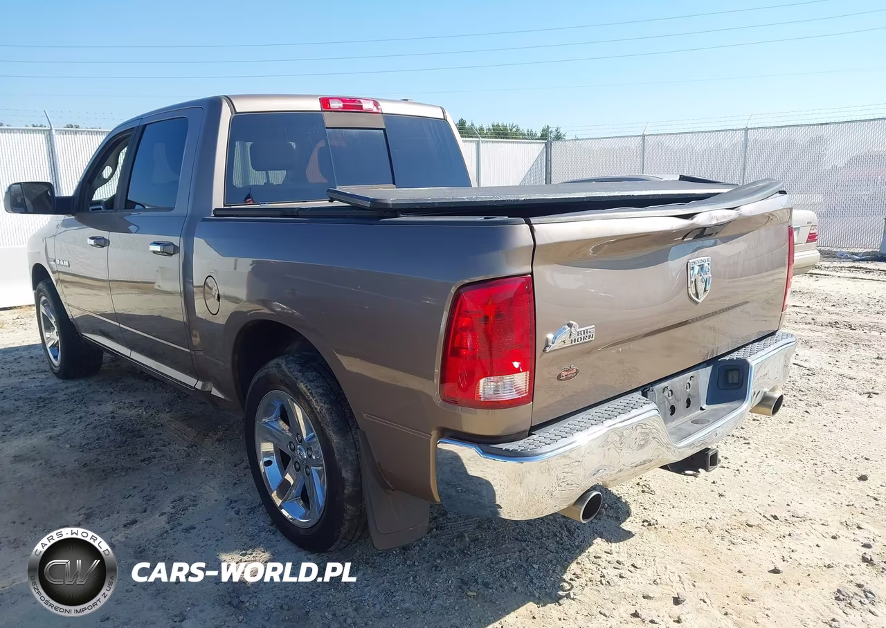 2010 Dodge Ram 1500 Slt-Sport-Trx VIN:1D7RB1CTXAS232453 - 3