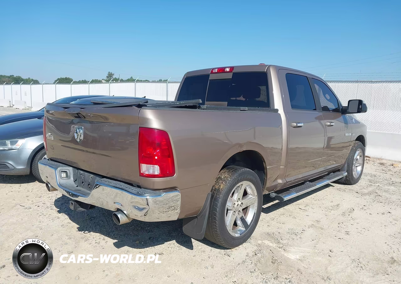 2010 Dodge Ram 1500 Slt-Sport-Trx VIN:1D7RB1CTXAS232453 - 4