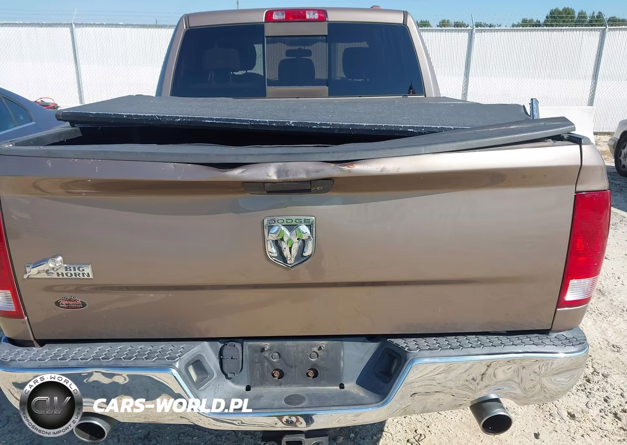 2010 Dodge Ram 1500 Slt-Sport-Trx VIN:1D7RB1CTXAS232453 - 6