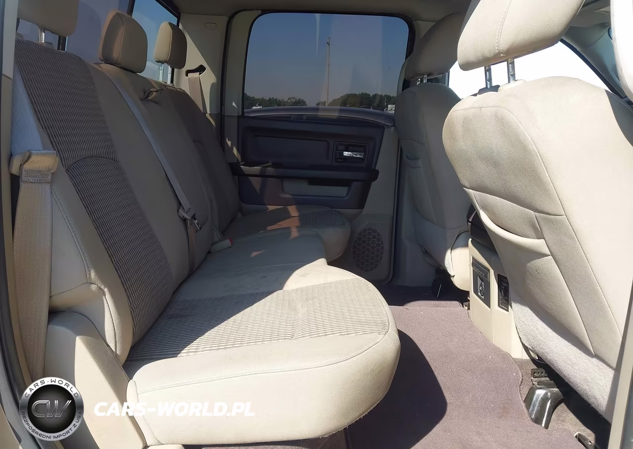 2010 Dodge Ram 1500 Slt-Sport-Trx VIN:1D7RB1CTXAS232453 - 8