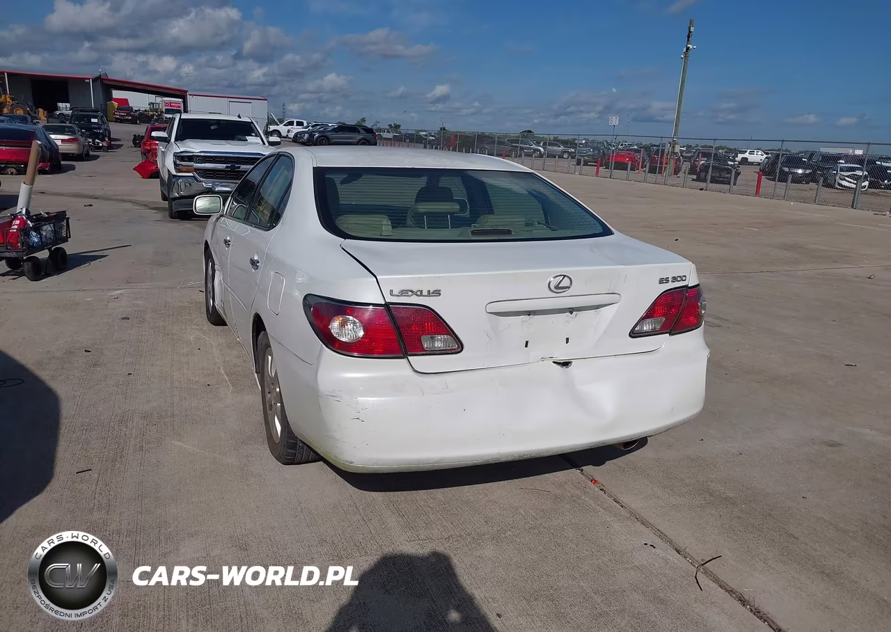 2003 Lexus Es 300 VIN:JTHBF30G635041518 - 3