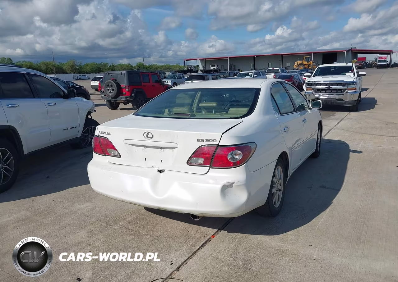 2003 Lexus Es 300 VIN:JTHBF30G635041518 - 4