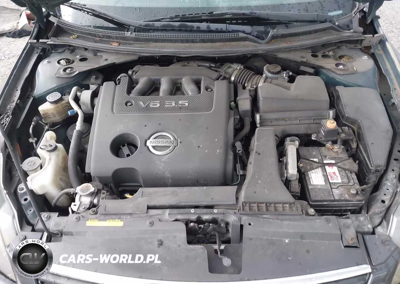 2009 Nissan Altima 3.5 Sl VIN:1N4BL21E89C183459 - 10