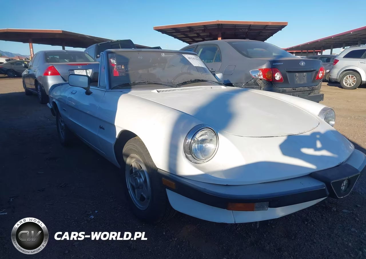1989 Alfa Romeo Spider Graduate – zdjęcie 1 z 11