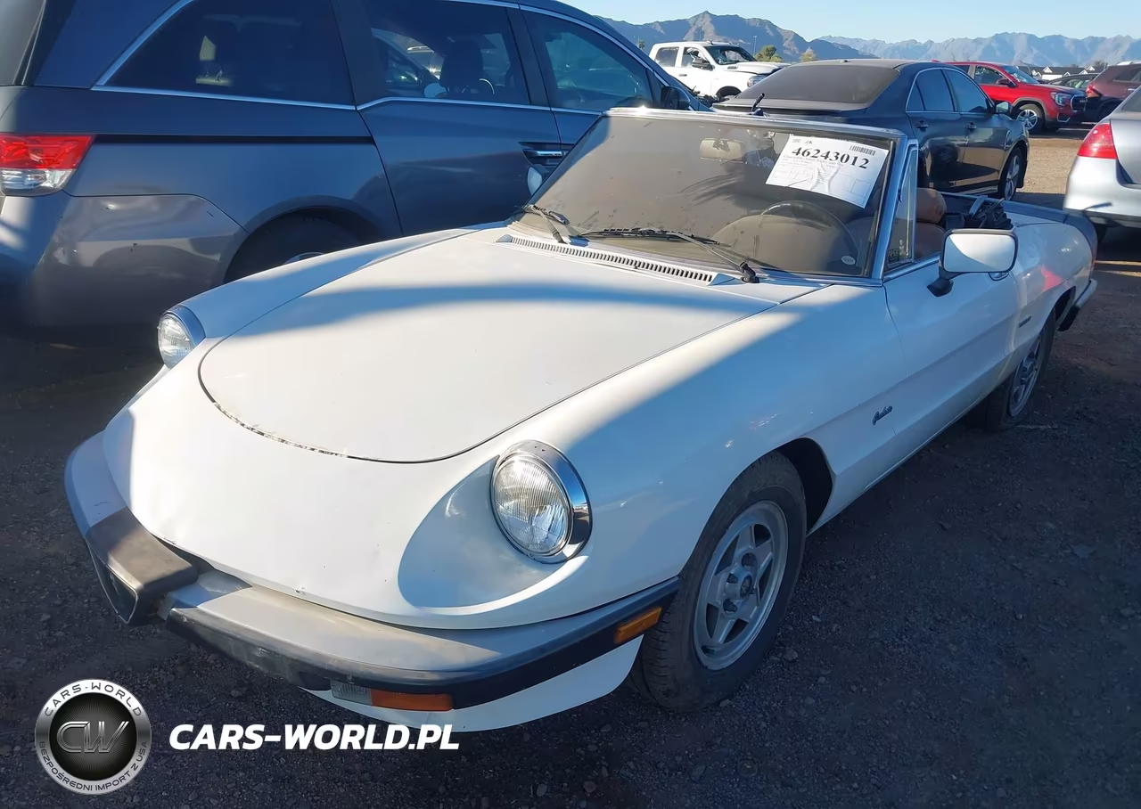 1989 Alfa Romeo Spider Graduate VIN:ZARBA5644K1063506 - 2