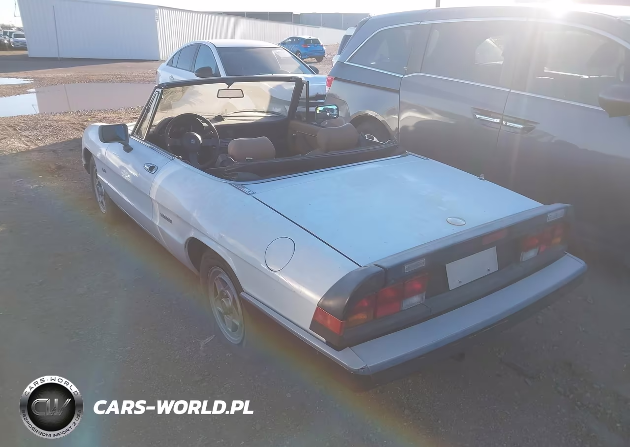 1989 Alfa Romeo Spider Graduate VIN:ZARBA5644K1063506 - 3