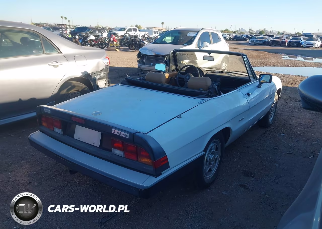 1989 Alfa Romeo Spider Graduate VIN:ZARBA5644K1063506 - 4