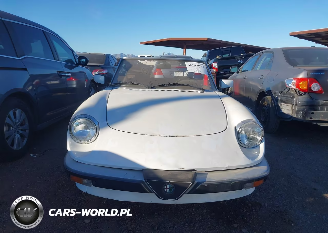 1989 Alfa Romeo Spider Graduate VIN:ZARBA5644K1063506 - 6