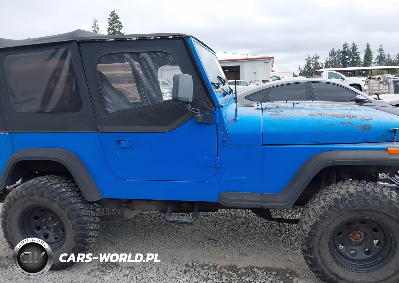 1994 Jeep Wrangler - Yj S VIN:1J4FY19P6RP413905 - 13