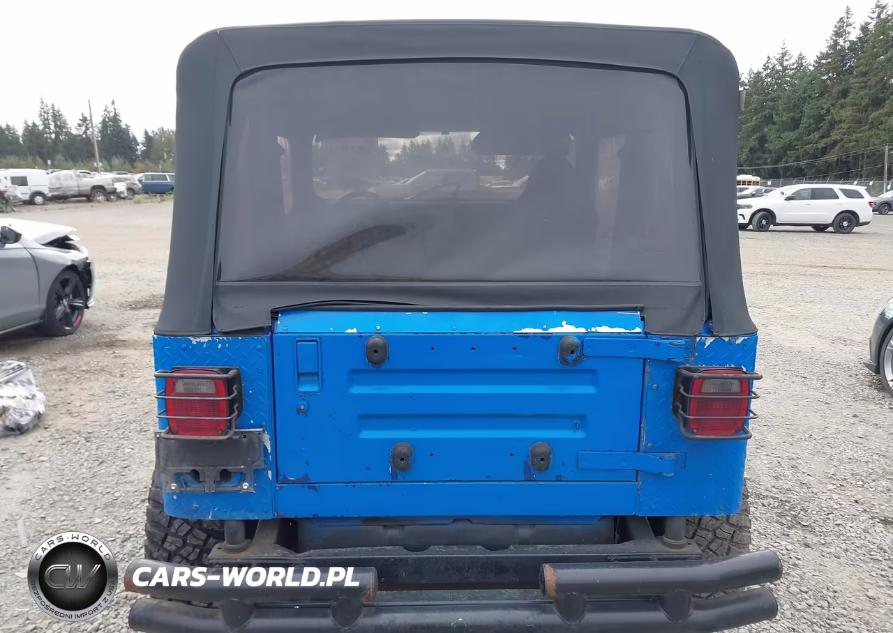 1994 Jeep Wrangler - Yj S VIN:1J4FY19P6RP413905 - 16