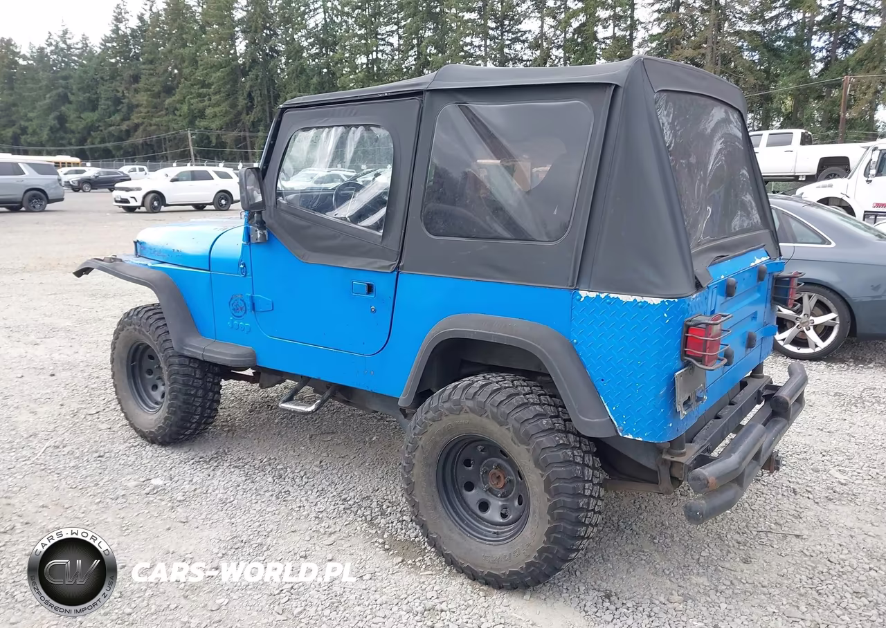 1994 Jeep Wrangler - Yj S VIN:1J4FY19P6RP413905 - 3