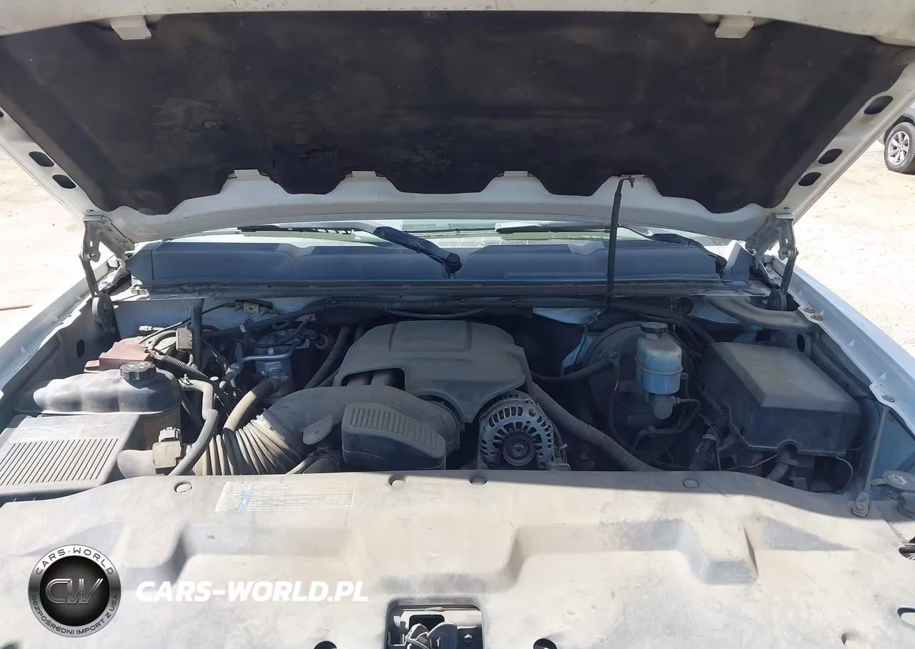 2010 Chevrolet Silverado 1500 Lt VIN:3GCRCSE0XAG285760 - 10