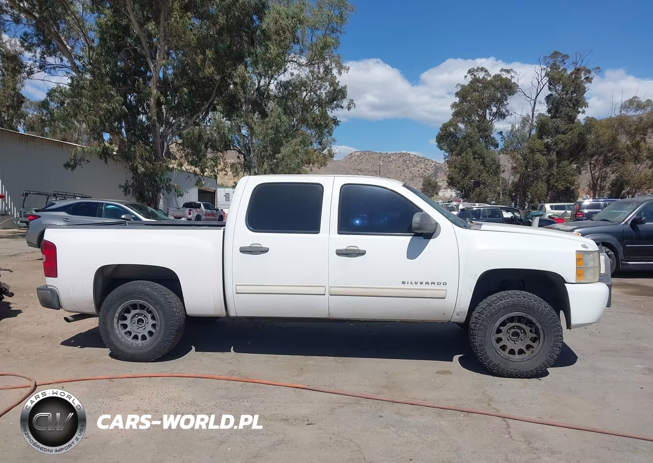2010 Chevrolet Silverado 1500 Lt VIN:3GCRCSE0XAG285760 - 13