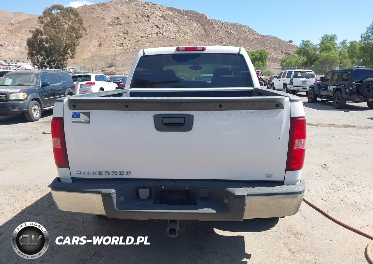 2010 Chevrolet Silverado 1500 Lt VIN:3GCRCSE0XAG285760 - 16