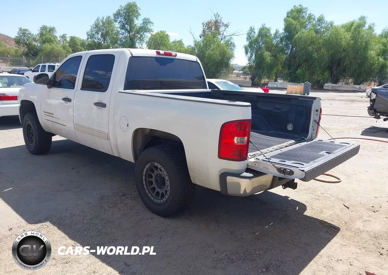 2010 Chevrolet Silverado 1500 Lt VIN:3GCRCSE0XAG285760 - 3