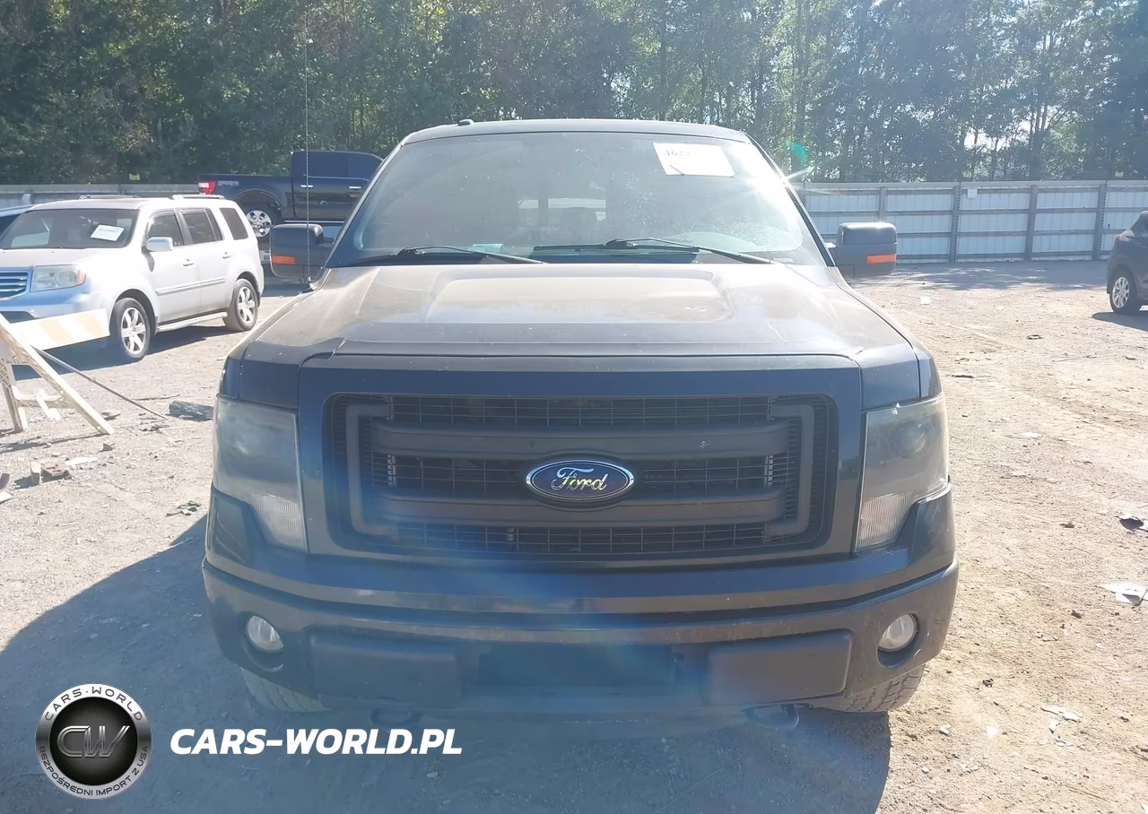 2014 Ford F-150 Fx4 VIN:1FTFX1EF6EFB89444 - 12