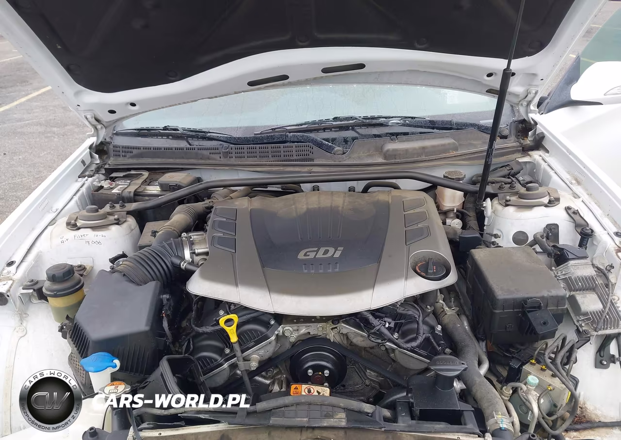 2015 Hyundai Genesis 3.8 Ultimate VIN:KMHHU6KJ7FU129608 - 10