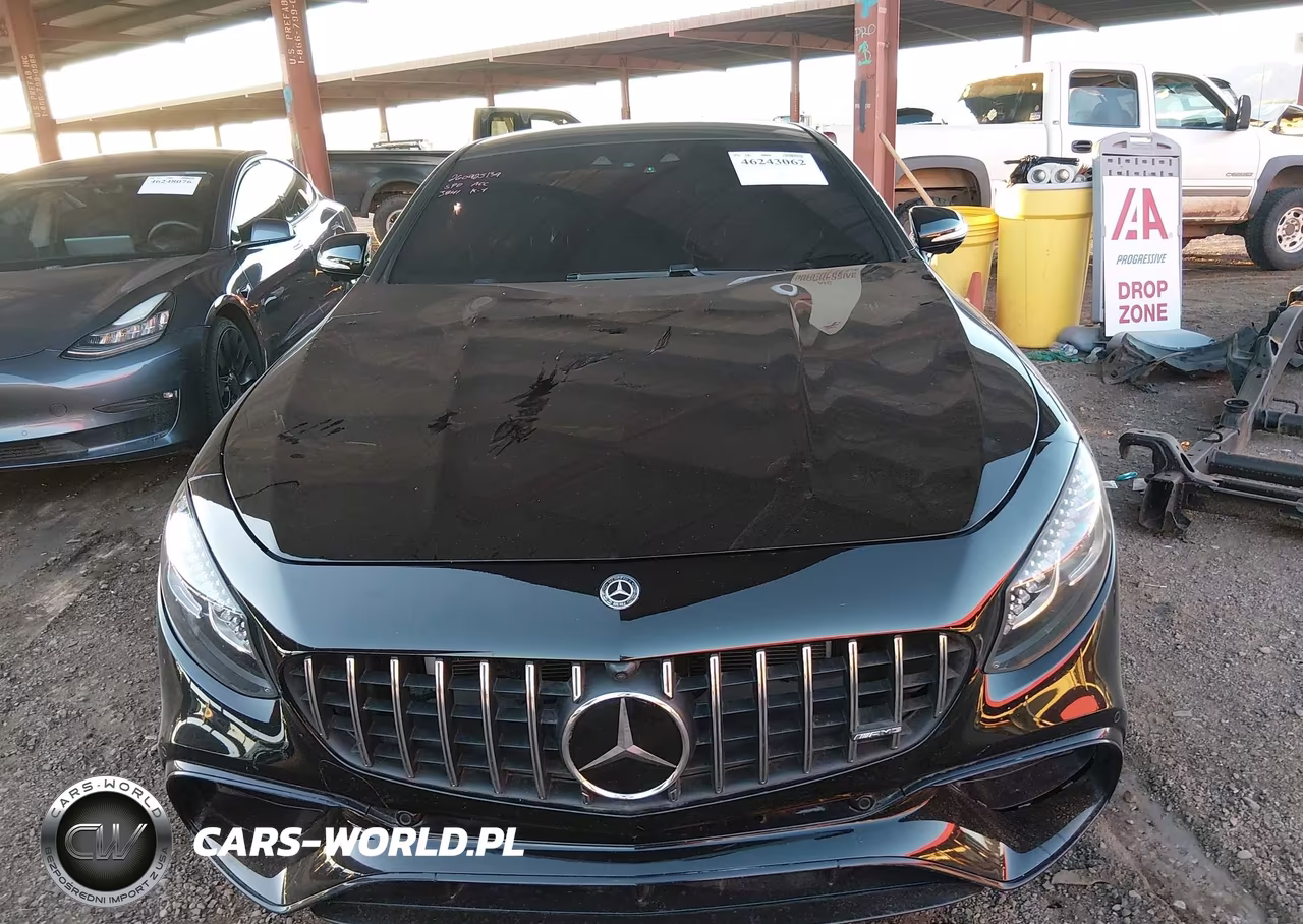 2018 Mercedes-Benz Amg S 63 4Matic VIN:WDDXJ8JB6JA033841 - 13