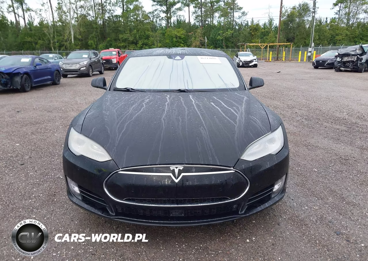 2016 Tesla Model S 60D-70D-75D-85D-90D VIN:5YJSA1E23GF114298 - 12