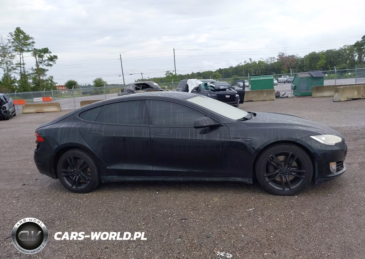 2016 Tesla Model S 60D-70D-75D-85D-90D VIN:5YJSA1E23GF114298 - 13