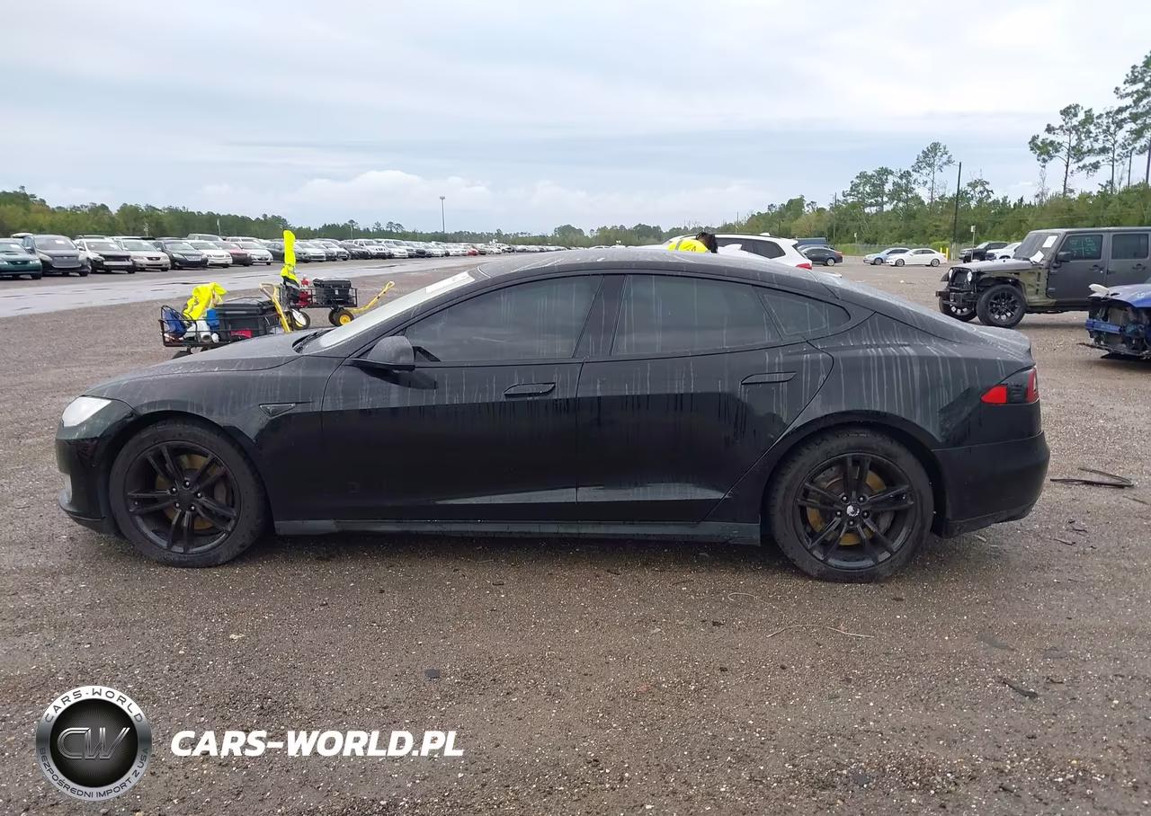2016 Tesla Model S 60D-70D-75D-85D-90D VIN:5YJSA1E23GF114298 - 14