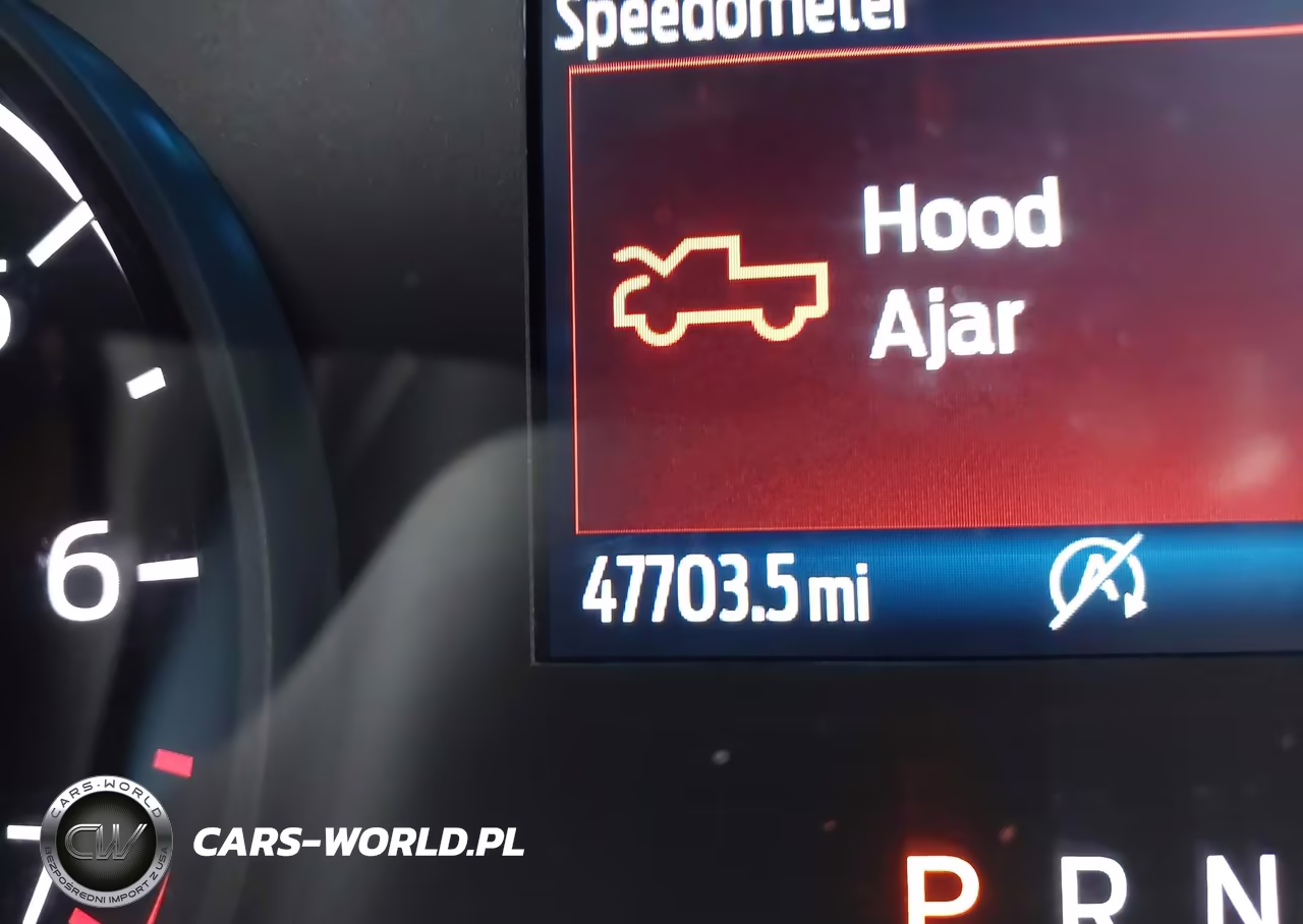 2021 Ford F-150 Xl VIN:1FTEW1CP7MFA79057 - 15