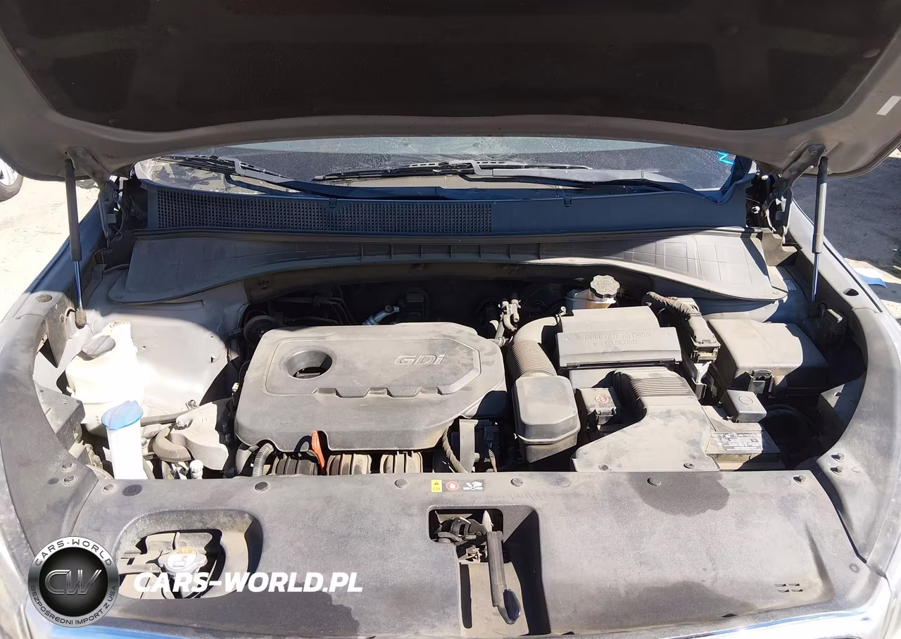 2018 Kia Sorento 2.4L Lx VIN:5XYPG4A35JG346728 - 10