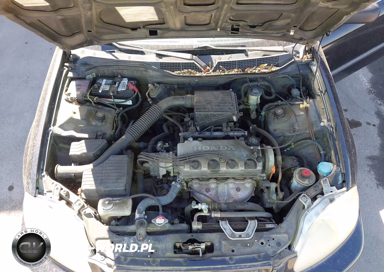 1996 Honda Civic Dx VIN:2HGEJ6444TH116404 - 10