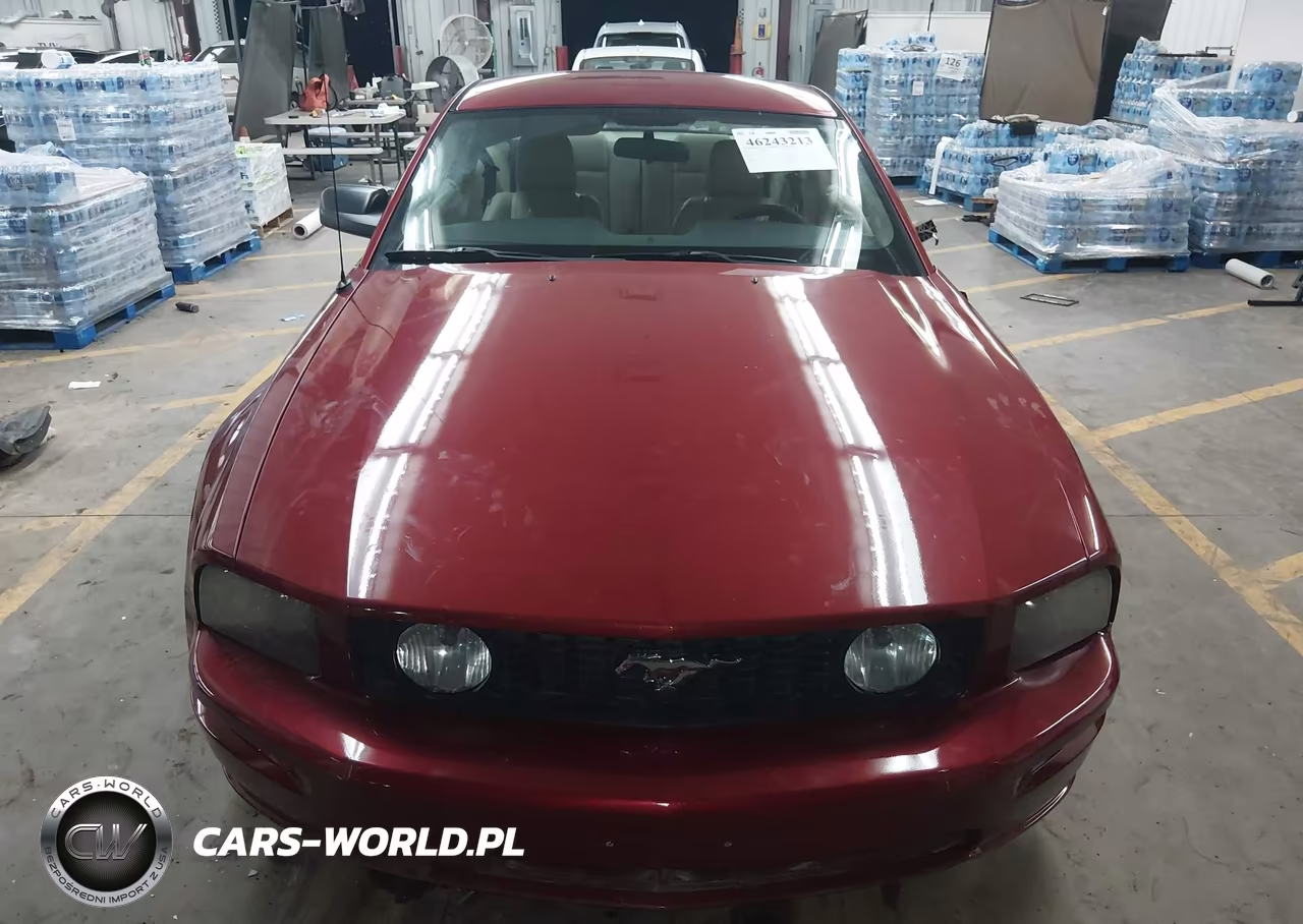 2008 Ford Mustang Gt Deluxe-Gt Premium VIN:1ZVHT82HX85154660 - 12