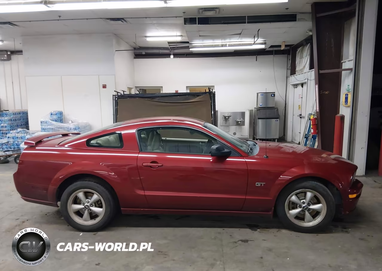 2008 Ford Mustang Gt Deluxe-Gt Premium VIN:1ZVHT82HX85154660 - 13